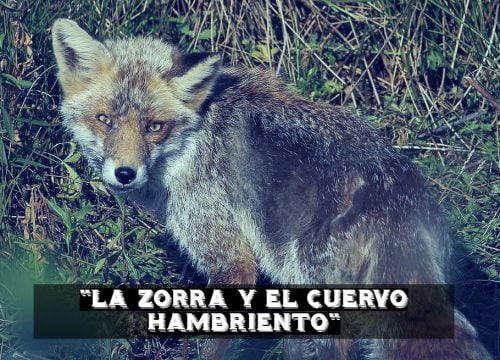 Fábula La Zorra y el Cuervo hambriento